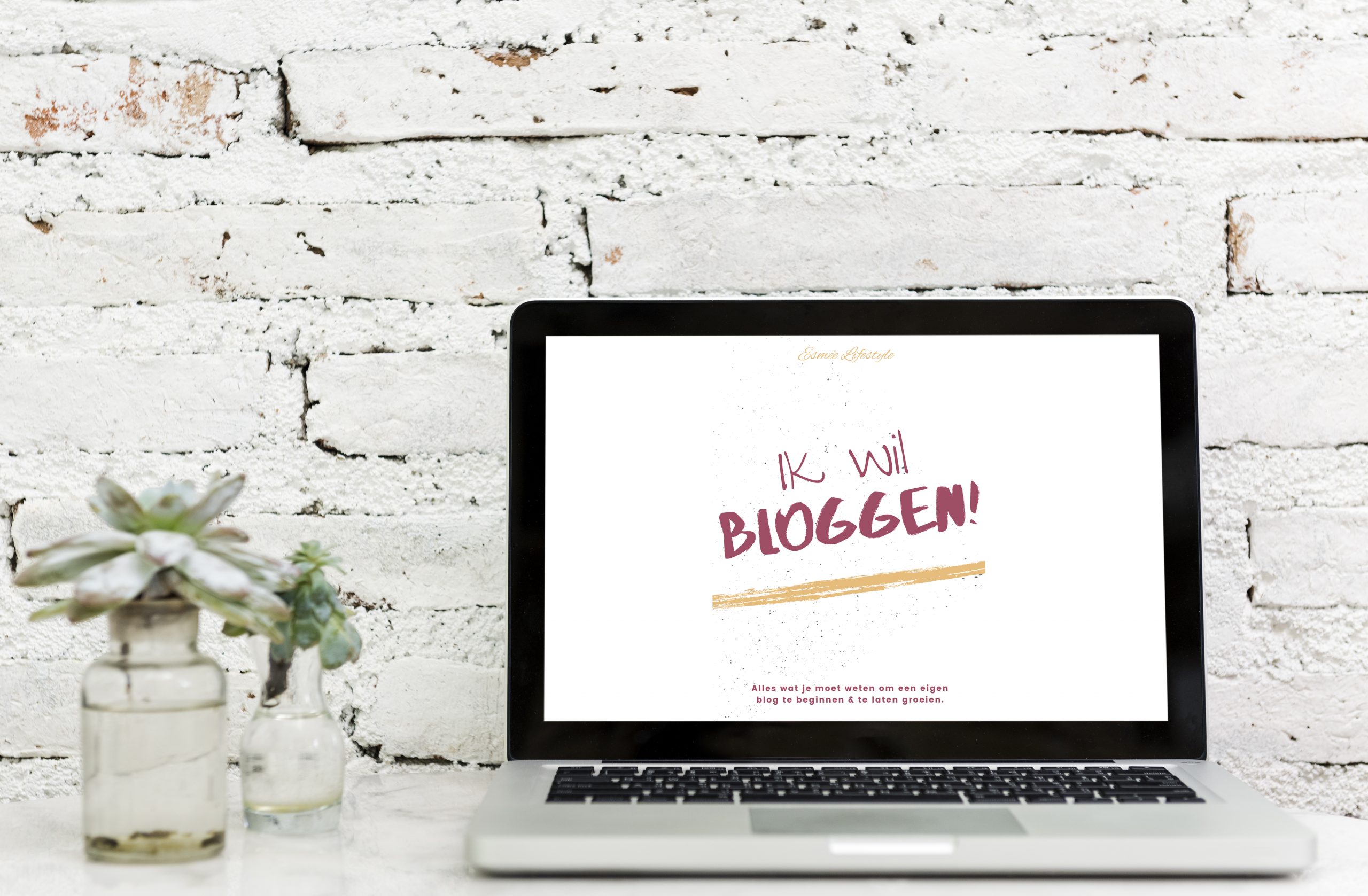 E-book Ik wil bloggen