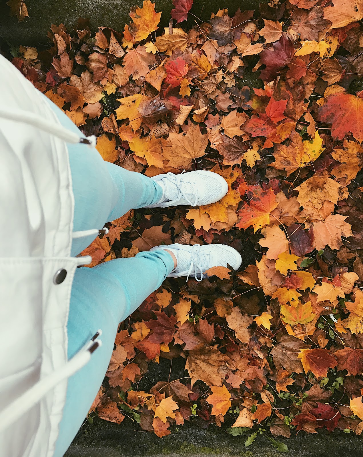 Mijn week in foto's # 7. Mooie herfst kleuren & Sushi eten.