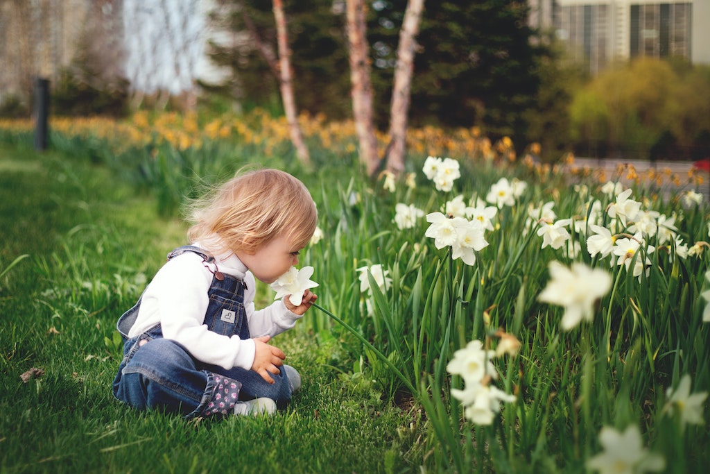 budget Kinderkleding merken