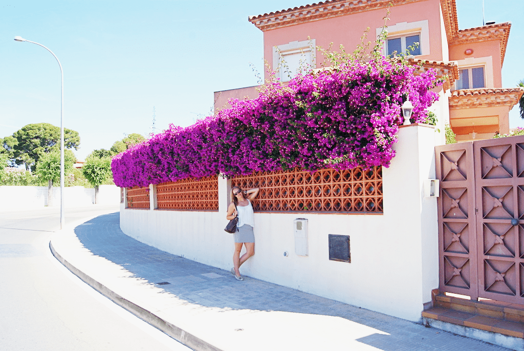 Vitamine D opnemen in de zon. waarom vitamine d belangrijk