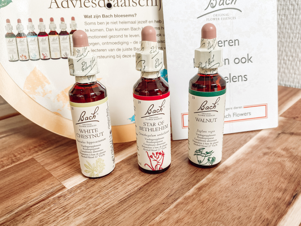 Bach Orginal Flower Essences